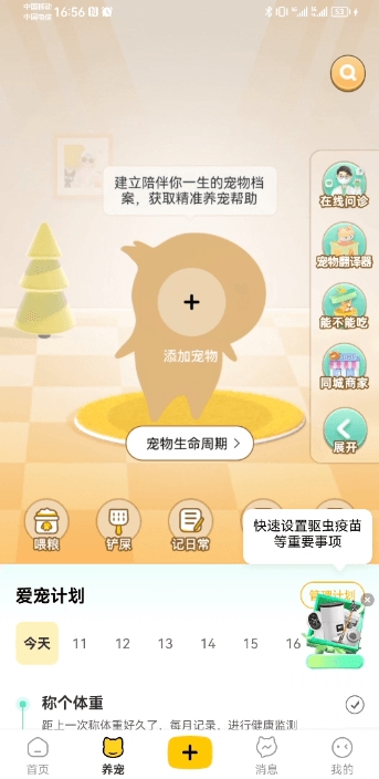 宠胖胖