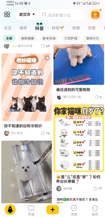 宠胖胖