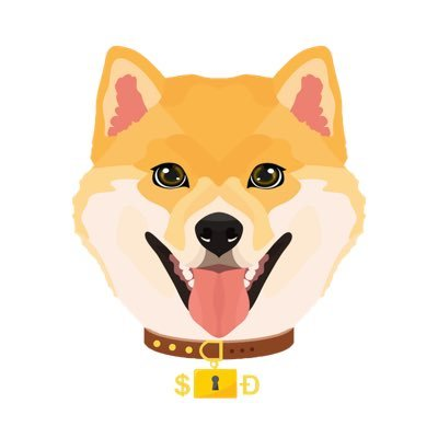 SAFEDOGE币