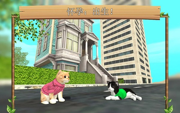 猫咪生存模拟器作弊菜单版
