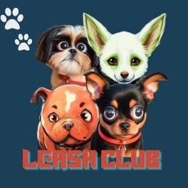 LEASHC币