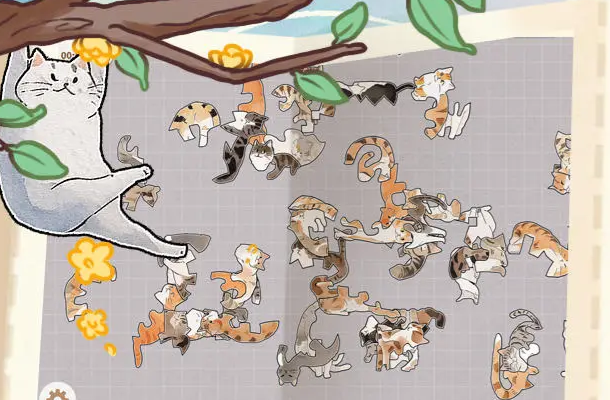 挤在一起的猫猫