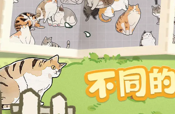 挤在一起的猫猫