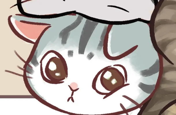 挤在一起的猫猫