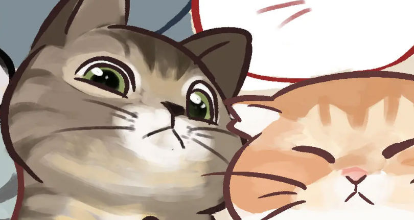 挤在一起的猫猫无限体力
