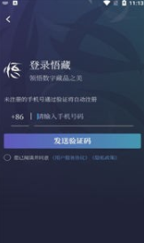 悟藏数字藏品