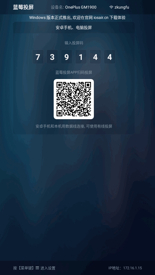蓝莓投屏