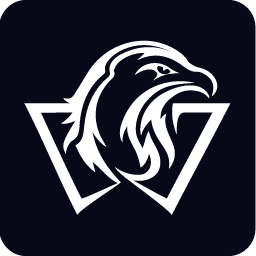WISER币