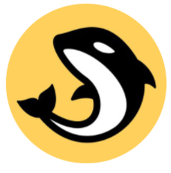 Orca交易所