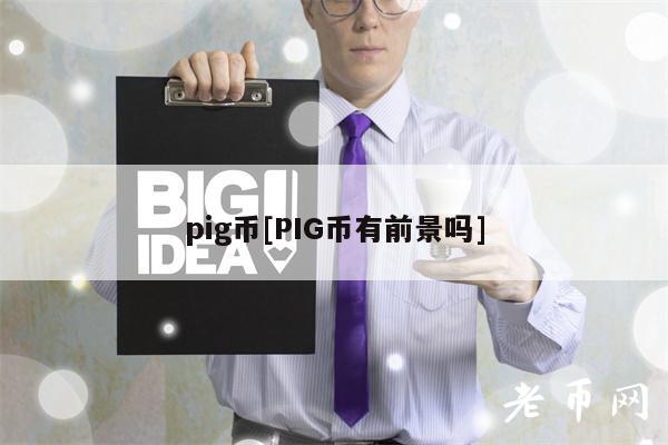 pig币[PIG币有前景吗]