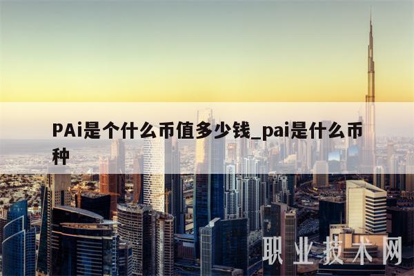 PAi是个什么币值多少钱_pai是什么币种