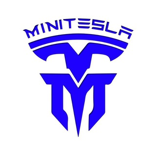 MINITESLA币