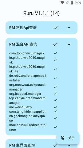 ruru检测工具