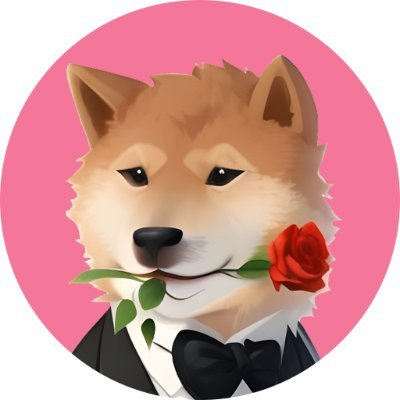 VDOGE币