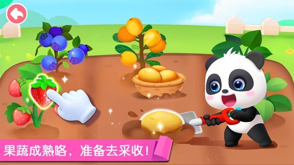 宝宝劳动小能手