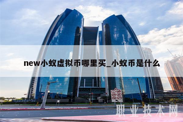 nw小蚁虚拟币哪里买_小蚁币是什么