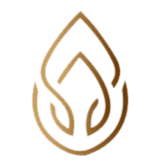 ANOW币