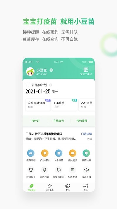小豆苗