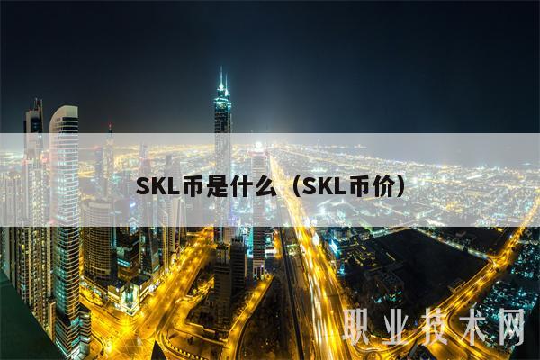 SKL币是什么（SKL币价
