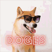 DOGES币