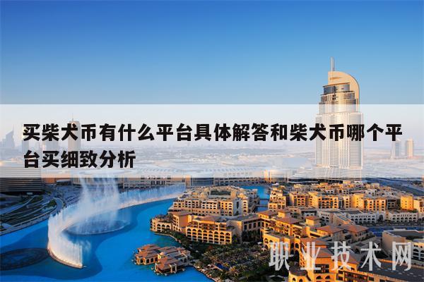 买柴犬币有什么平台具体解答和柴犬币哪个平台买细致分析