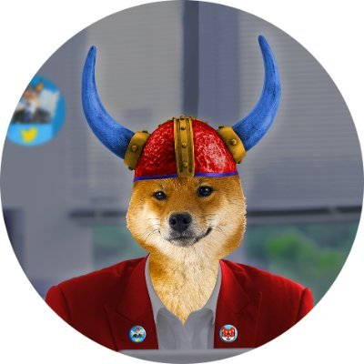 FLOKICFO币