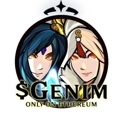 GENIM币