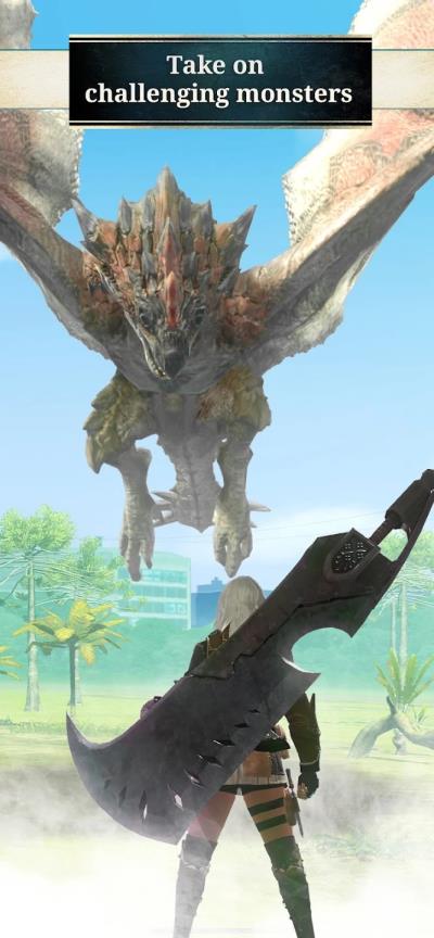 怪物猎人now(MH Now)