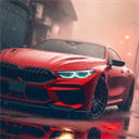 驾驶学校模拟(Driving School Sim)