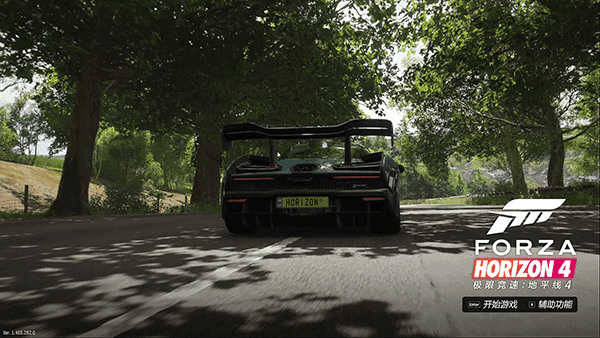 地平线5(Forza Horizon 5)