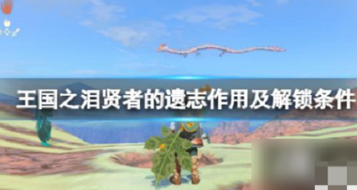 《塞尔达传说王国之泪》贤者技能介绍 贤者的遗志作用及解锁条件贤者的遗志作用