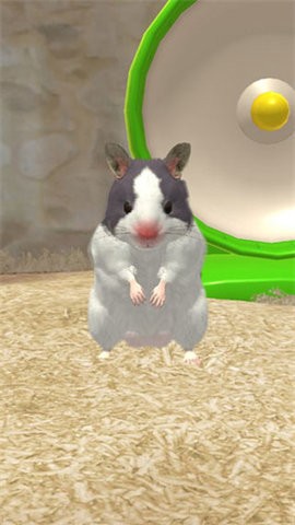 我的仓鼠单机版