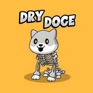 DRYDOGE币