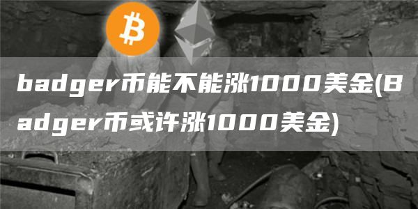 badger币能不能涨1000美金 - Badger币或许涨1000美金
