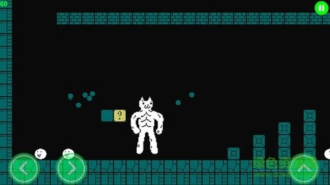 猫里奥单人正版