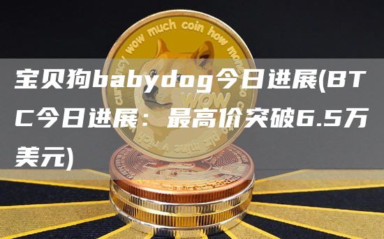 宝贝狗babydog今日进展 - BTC今日进展：最高价突破6.5万美元