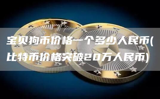宝贝狗币价格一个多少人民币 - 比特币价格突破20万人民币