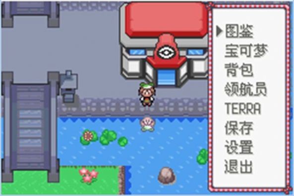 口袋妖怪空之花神金手指