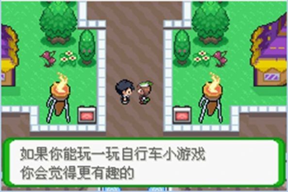 口袋妖怪空之花神金手指