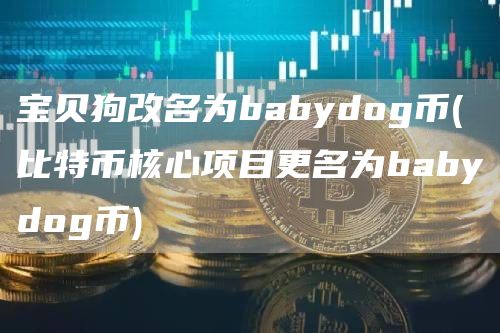 宝贝狗改名为babydog币 - 比特币核心项目更名为babydog币