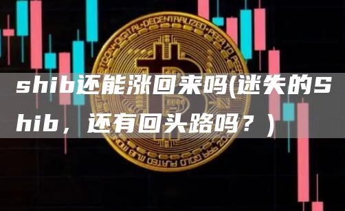 shib还能涨回来吗 - 迷失的Shib，还有回头路吗？