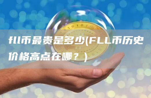 fll币最贵是多少 - FLL币历史价格高点在哪？