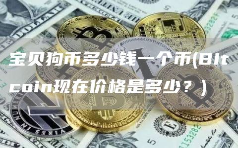 宝贝狗币多少钱一个币 - Bitcoin现在价格是多少？