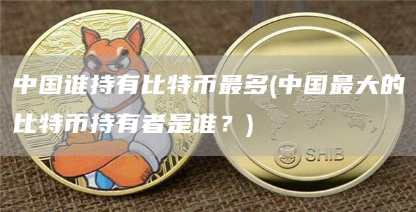 中国谁持有比特币最多 - 中国最大的比特币持有者是谁？