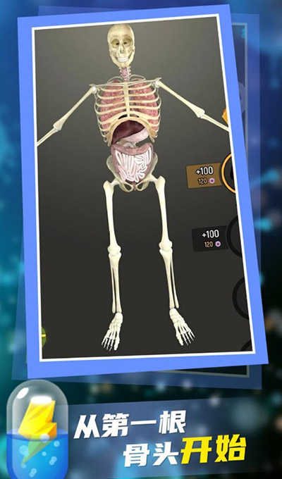 放置人类无限细胞