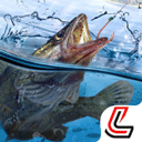 天天钓鱼达人专用版