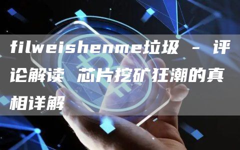 filweishenme垃圾 - 评论解读 芯片挖矿狂潮的真相详解