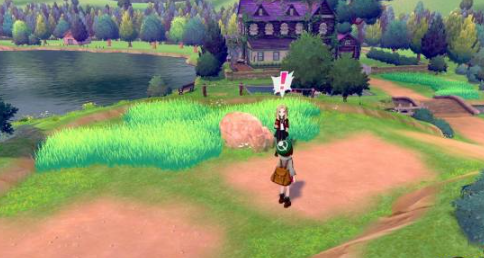 宝可梦剑盾乐天河童单打怎么配招？乐天河童单打配招攻略