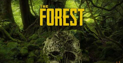 森林登山镐在哪?登山镐位置攻略介绍