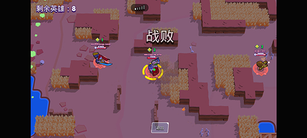 荒野乱斗私人服游戏免费版